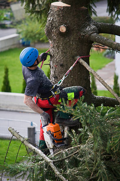 Best Lawn Mowing  in Basking Ridge, NJ